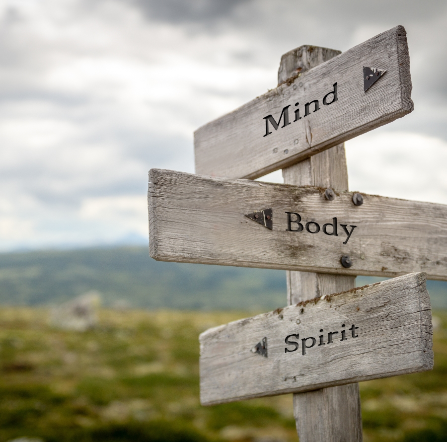 A wooden signpost with Mind, Body and Spirit pointing in different directions. Balance and Babysteps Nutrition is owned and operated by Registered Holistic Nutritionist, Shanon Menard.
